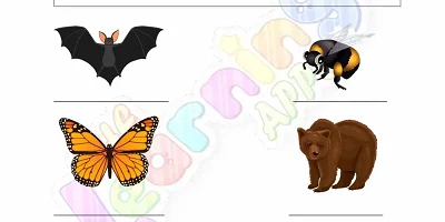 Hibernation-Worksheets-for-Grade-2-Activity-1