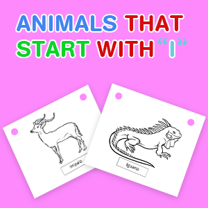 Animals that Start with I Printable and Worksheets