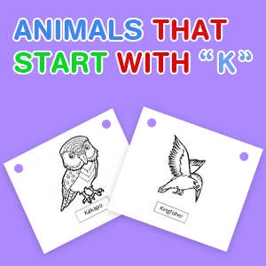 animals-that-start-with-k animals-that-start-with-k