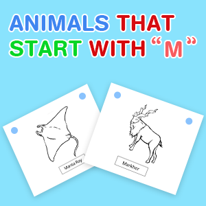animals-that-start-with-m animals-that-start-with-m