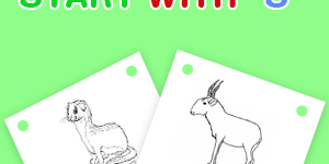 animals-that-start-with-s