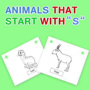 animals-that-start-with-s animals-that-start-with-s
