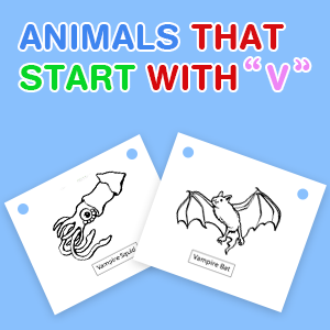 animals-that-start-with-v animals-that-start-with-v