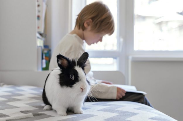 child with small pet