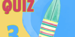 Surfing-Quiz-3
