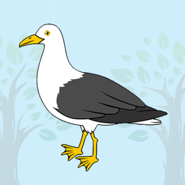 Albatross