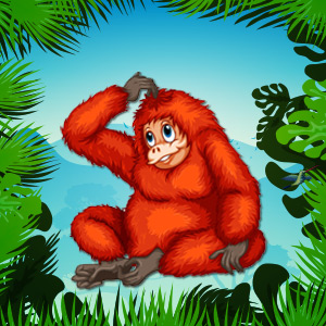 Bornean-Orangutans-Endangered-Animal-quiz