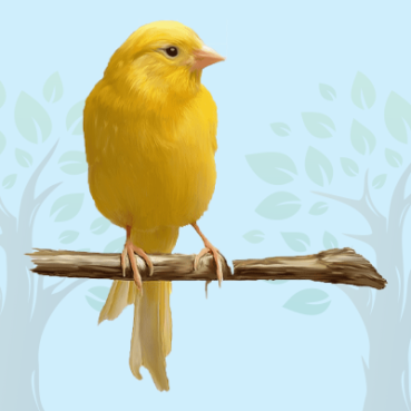 Canary