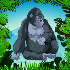 Cross-River-Gorillas-Endangered-Animal-quiz