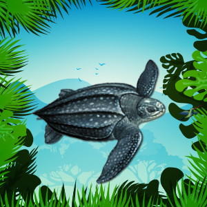 Leatherback-Turtle-Endangered-Animal-quiz