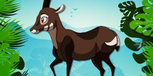 Saola-Endangered-Animal-quiz