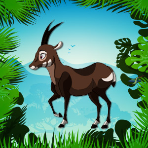 Saola-Endangered-Animal-quiz