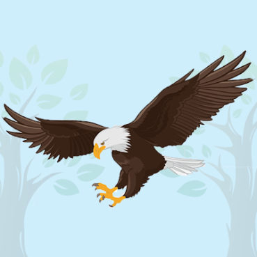 baldEagle