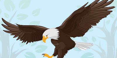 baldEagle