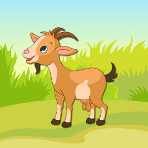goat-pet-animal-quiz