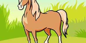 horse-pet-animal-quiz