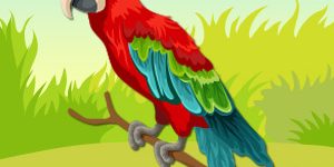 parrot-pet-animal-quiz
