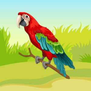 parrot-pet-animal-quiz