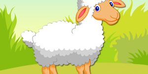 sheep-pet-animal-quiz
